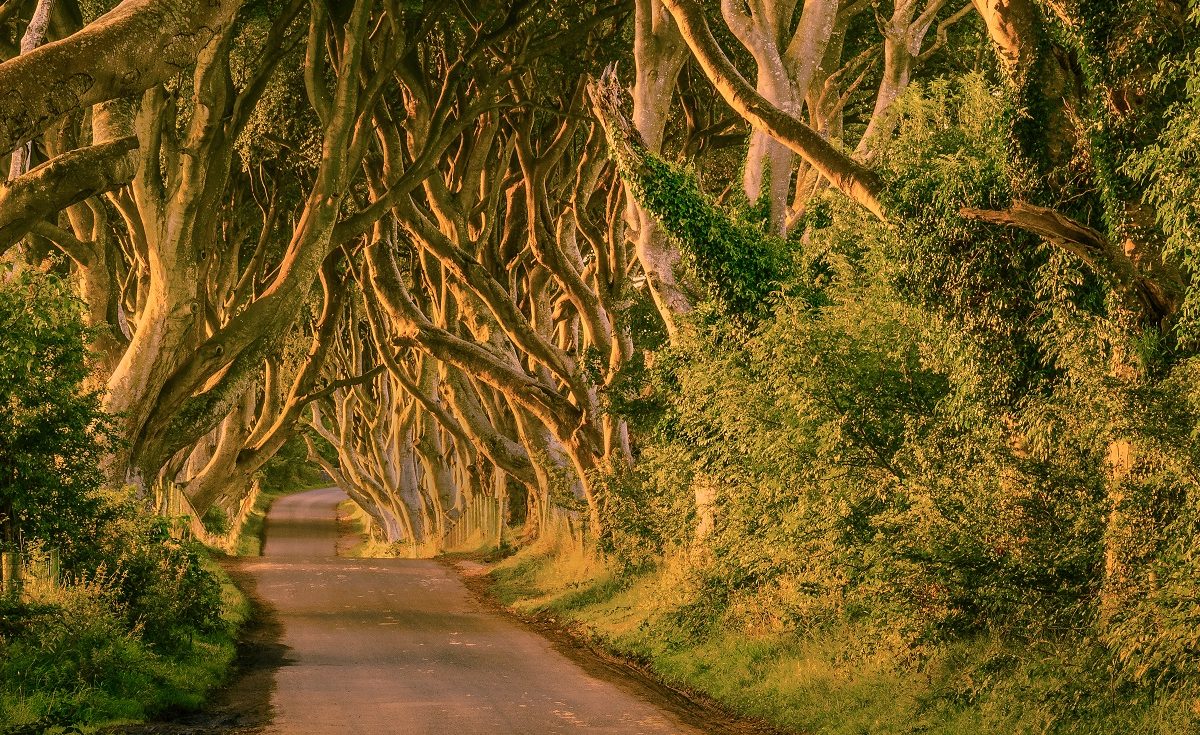 On the road: The Game of Thrones Routes