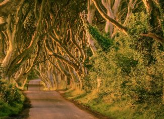 On the road: The Game of Thrones Routes