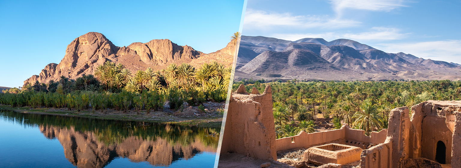 Fint Oasis / Draa Valley