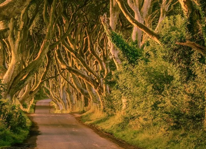 On the road: The Game of Thrones Routes