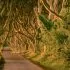 Game of Thrones - The Dark Hedges, Ireland
